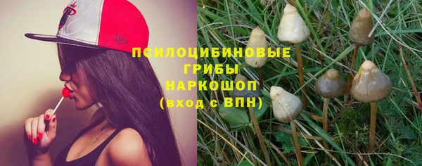 МДПВ Кукмор