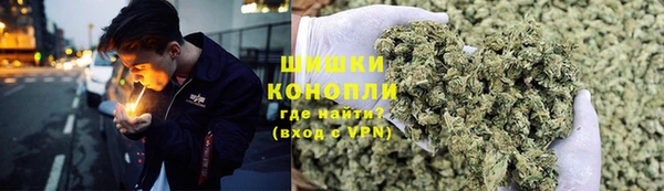 mdpv Краснослободск