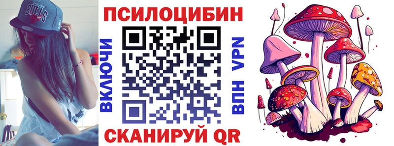 Псилоцибиновые грибы Psilocybine cubensis  omg как зайти  Старый Крым  наркота 